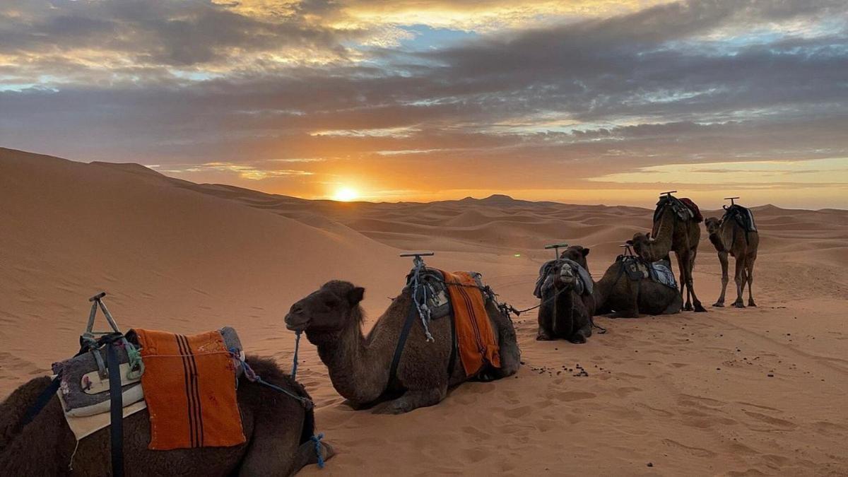 Chegaga Desert Trips Hotel M'Hamid Buitenkant foto